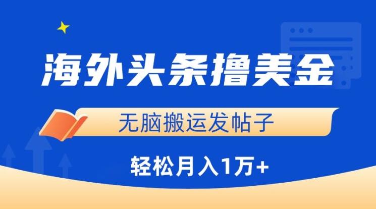海外头条撸美金，无脑搬运发帖子，月入1万+，小白轻松掌握【揭秘】-天韵资源网