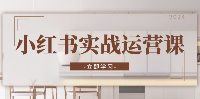 小红书实战运营课：从开通店铺到直播话术，打造爆款笔记与高效直播-天韵资源网