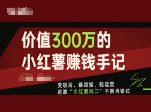 价值300万的小红书赚钱手记，变现高、链路短、轻运营，这波“小红薯风口”不能再错过-天韵资源网