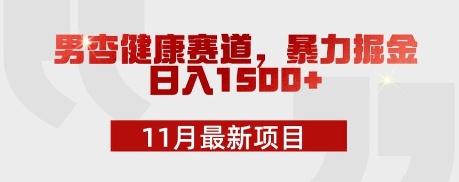 11月最新项目，男杏健康赛道，暴力掘金，日入1500+-天韵资源网