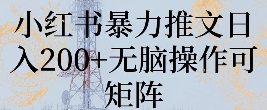 小红书暴力推文日入200+无脑操作可矩阵【揭秘】-天韵资源网