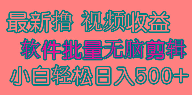 (9569期)发视频撸收益，软件无脑批量剪辑，第一天发第二天就有钱-天韵资源网