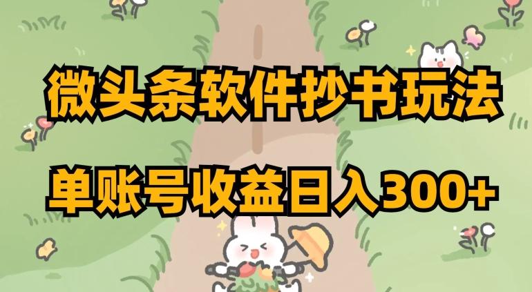 微头条软件抄书玩法，单账号收益日入300+【揭秘】-天韵资源网