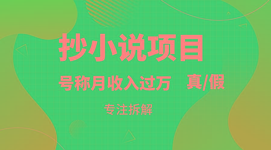 抄小说项目，号称月入过万，到底是否真实，能不能做，详细拆解-天韵资源网