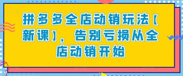 拼多多全店动销玩法【新课】，告别亏损从全店动销开始-天韵资源网