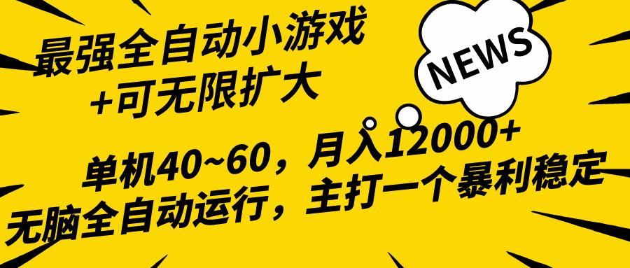 (10046期)2024最新全网独家小游戏全自动，单机40~60,稳定躺赚，小白都能月入过万-天韵资源网