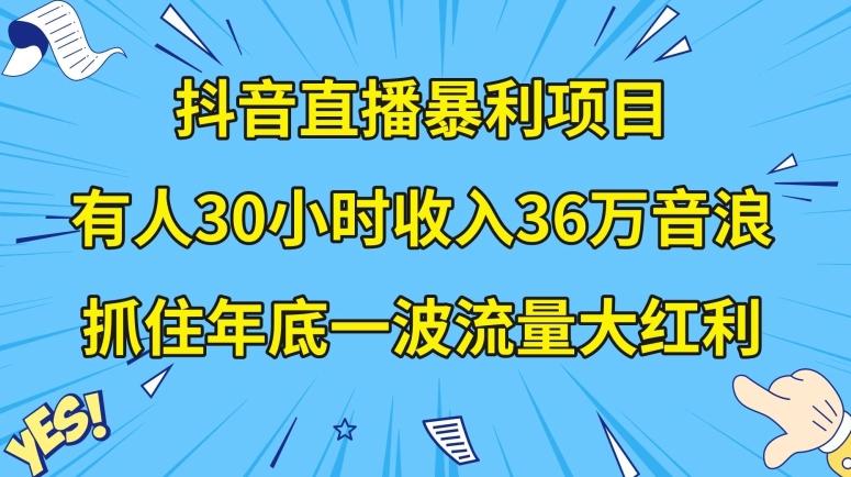 抖音直播暴利项目，有人30小时收入36万音浪，公司宣传片年会视频制作，抓住年底一波流量大红利【揭秘】-天韵资源网