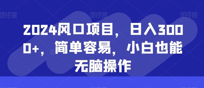 2024风口项目，日入3000+，简单容易，小白也能无脑操作-天韵资源网