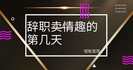 冷门赛道，辞职卖情趣的第几天，超暴力项目-天韵资源网