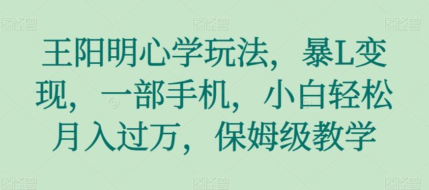 王阳明心学玩法，暴L变现，一部手机，小白轻松月入过万，保姆级教学【揭秘】-天韵资源网