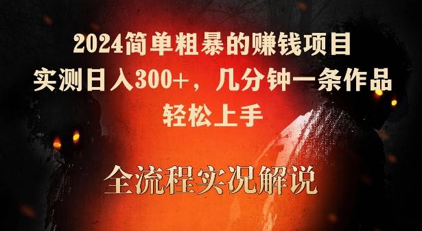 2024简单粗暴的赚钱项目，实测日入300+，几分钟一条作品，轻松上手【揭秘】-天韵资源网