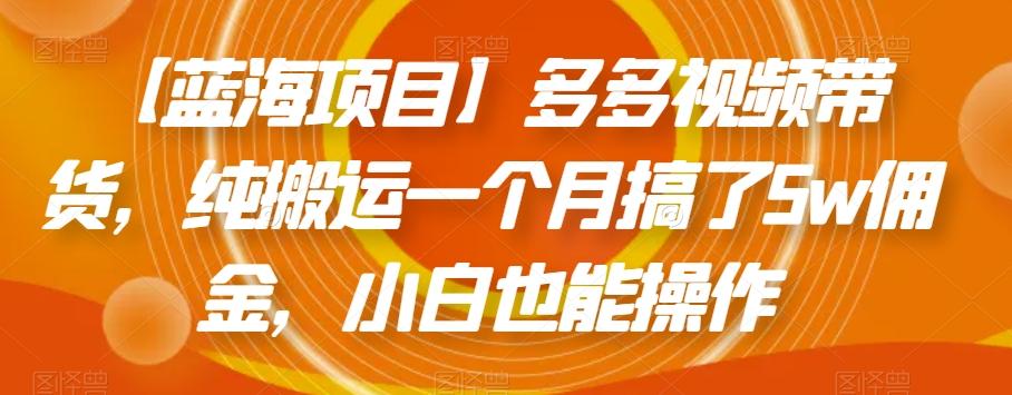 【蓝海项目】多多视频带货，纯搬运一个月搞了5w佣金，小白也能操作【揭秘】-天韵资源网