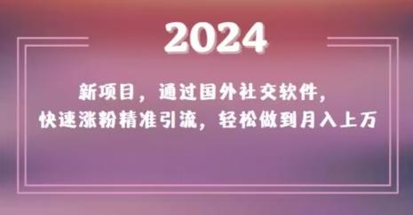 2024新项目，通过国外社交软件，快速涨粉精准引流，轻松做到月入上万【揭秘】-天韵资源网