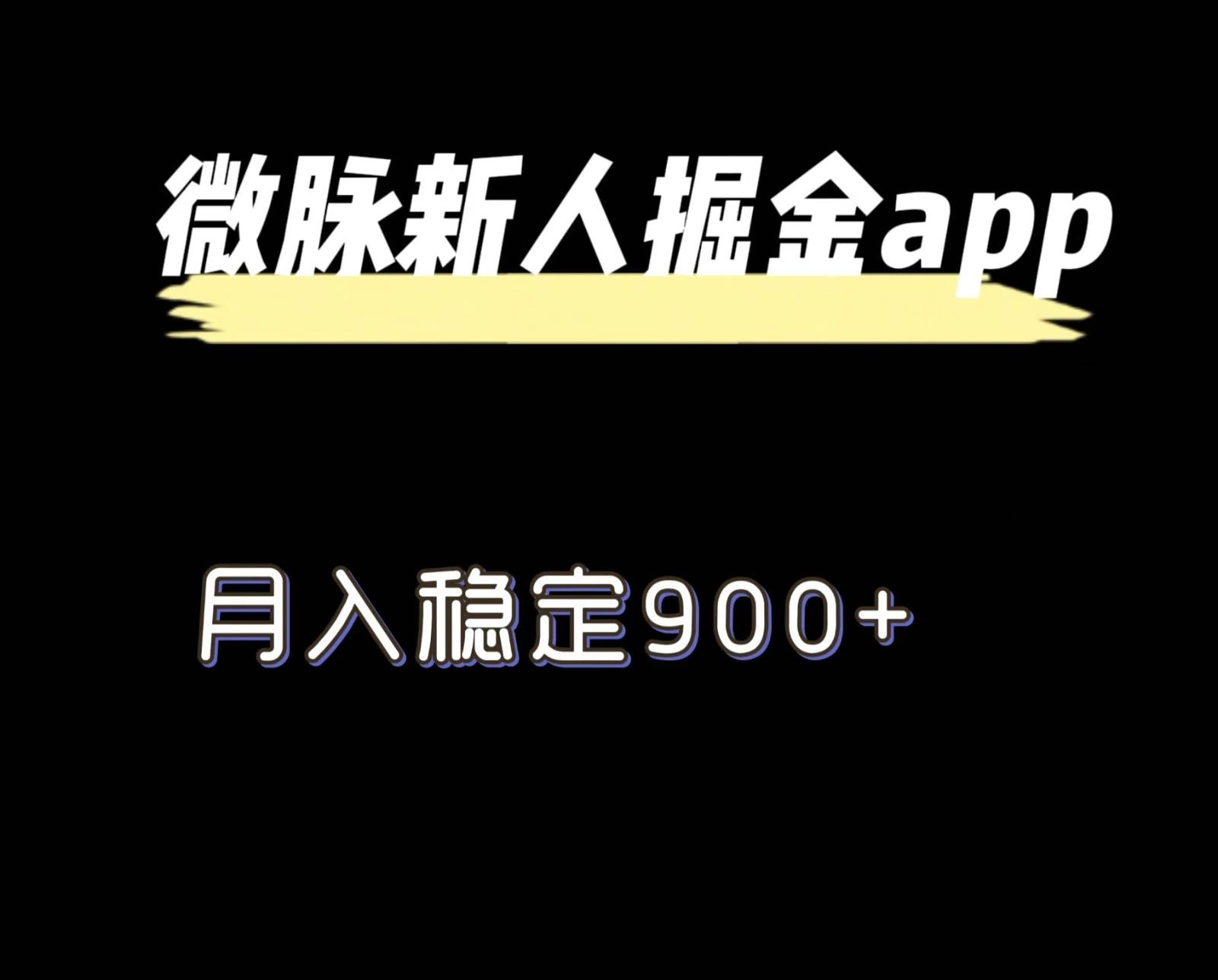 最新微脉长久项目，拉新掘金，月入稳定900+-天韵资源网