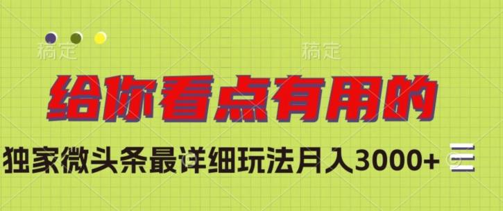 独家微头条最详细玩法，月入3000+【揭秘】-天韵资源网
