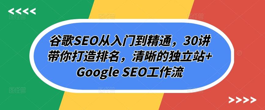 谷歌SEO从入门到精通，30讲带你打造排名，清晰的独立站+Google SEO工作流-天韵资源网