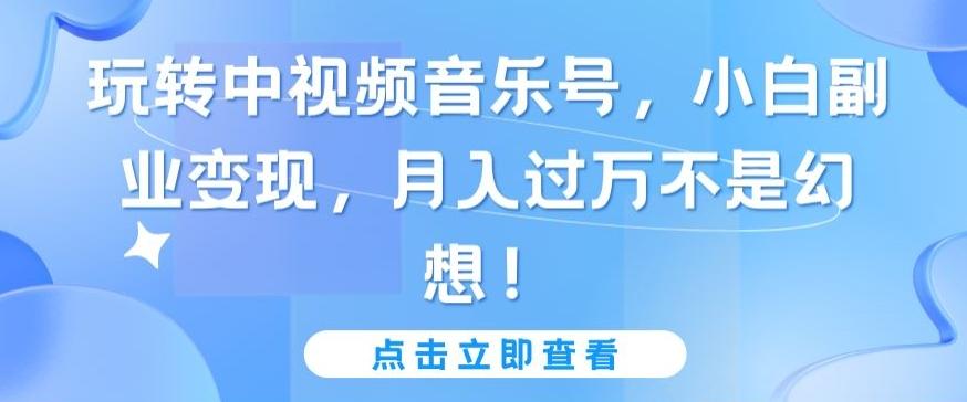 玩转中视频音乐号，小白副业变现，月入过万不是幻想【揭秘】-天韵资源网