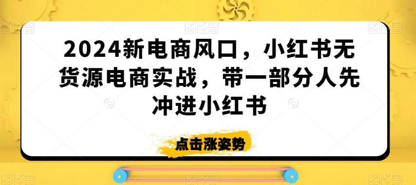 2024新电商风口，小红书无货源电商实战，带一部分人先冲进小红书-天韵资源网