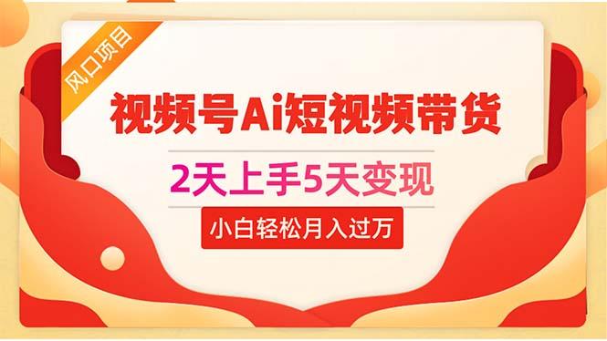 2天上手5天变现视频号Ai短视频带货0粉丝0基础小白轻松月入过万-天韵资源网
