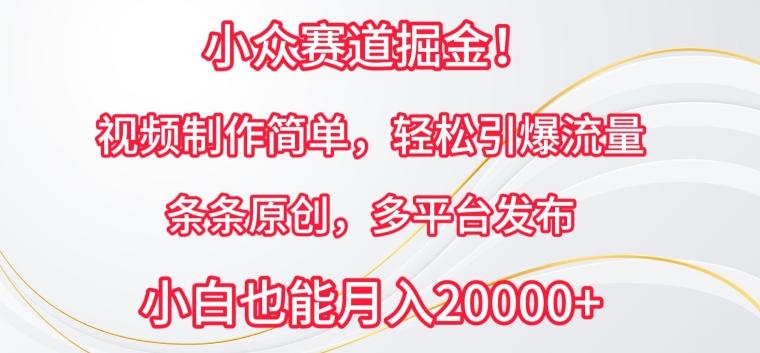 小众赛道掘金，视频制作简单，轻松引爆流量，条条原创，多平台发布【揭秘】-天韵资源网