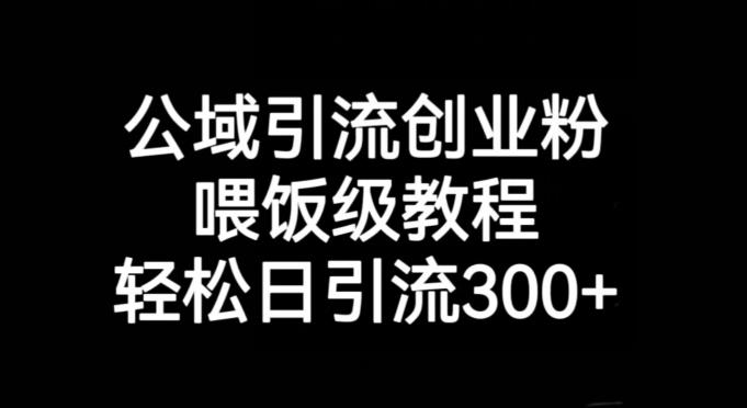 公域引流创业粉，喂饭级教程，轻松日引流300+【揭秘】-天韵资源网