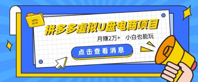 拼多多虚拟U盘电商红利项目：月赚2万+，新手小白也能玩-天韵资源网