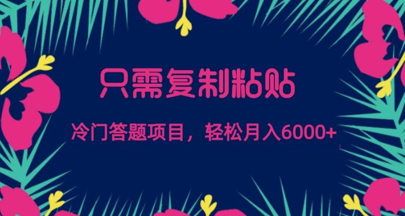 只需复制粘贴，冷门答题项目，轻松月入6000-天韵资源网