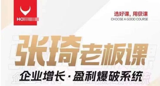 【组合课】张琦张琦老板企业增长·盈利爆破系统（直播专享）-天韵资源网