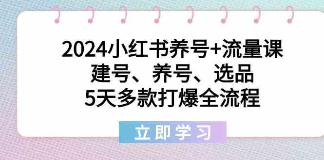 2024小红书养号+流量课：建号、养号、选品，5天多款打爆全流程-天韵资源网