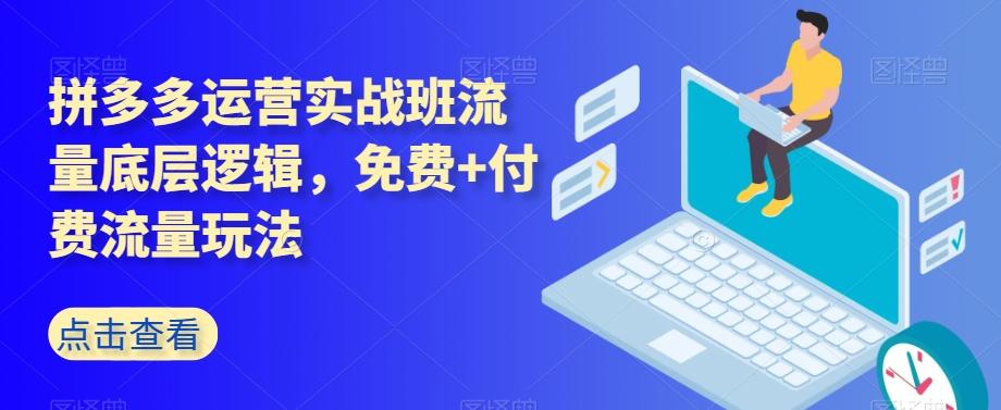 拼多多运营实战班流量底层逻辑，免费+付费流量玩法-天韵资源网