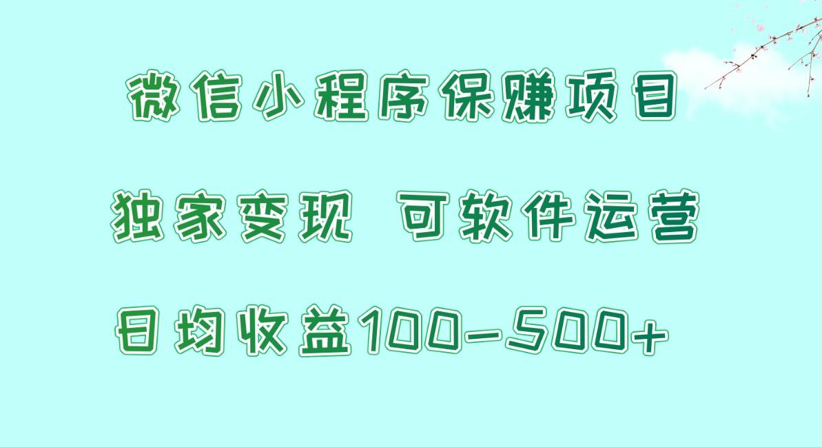 微信小程序保赚项目，日均收益100~500+，独家变现，可软件运营-天韵资源网