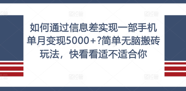 如何通过信息差实现一部手机单月变现5000+?简单无脑搬砖玩法，快看看适不适合你【揭秘】-天韵资源网