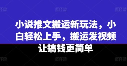 小说推文搬运新玩法，小白轻松上手，搬运发视频让搞钱更简单-天韵资源网