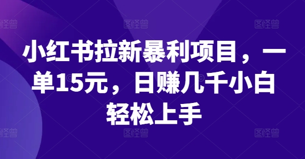 小红书拉新暴利项目，一单15元，日赚几千小白轻松上手【揭秘】-天韵资源网