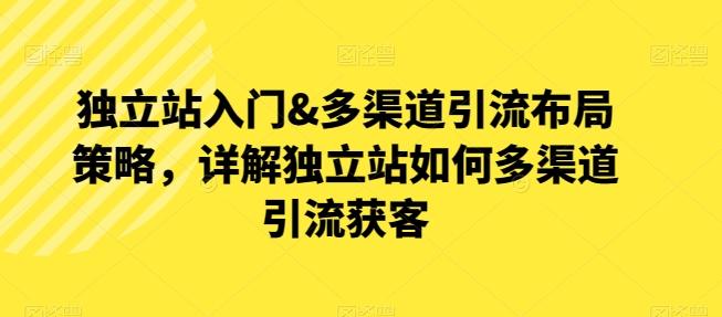 独立站入门&多渠道引流布局策略，详解独立站如何多渠道引流获客-天韵资源网