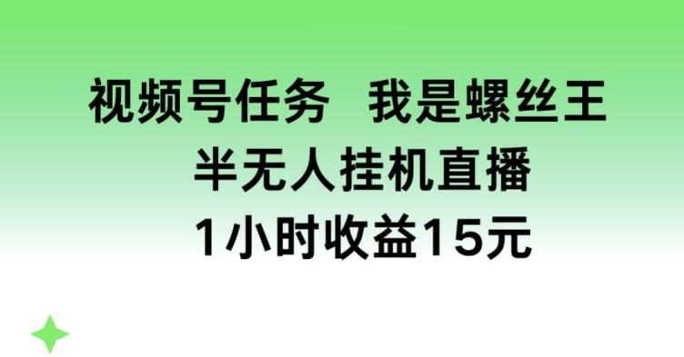 视频号任务，我是螺丝王， 半无人挂机1小时收益15元【揭秘】-天韵资源网