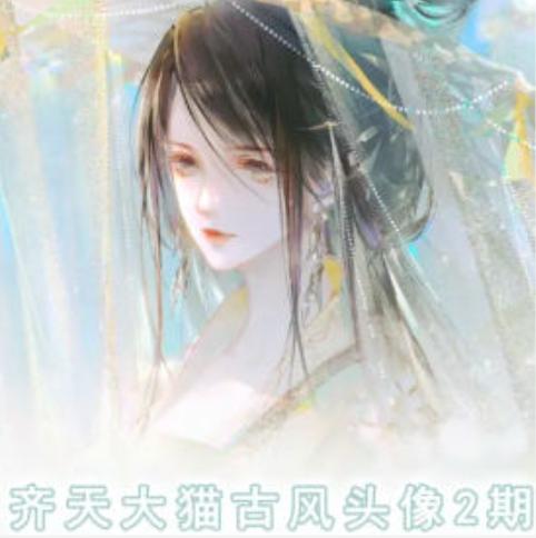 齐天大猫古风头像课第2期，帮助您提高您的绘画技能-天韵资源网