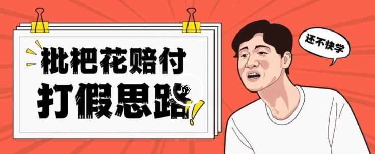最新打假原料枇杷花赔付玩法一单收益1000+小白轻松下车【详细视频玩法教程】【仅揭秘】-天韵资源网