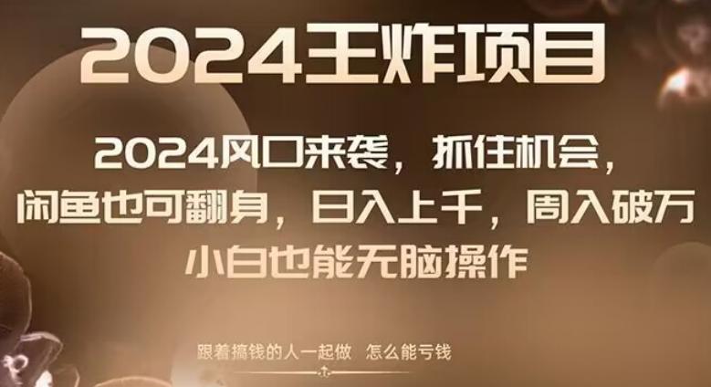2024风口项目来袭，抓住机会，闲鱼也可翻身，日入上千，周入破万，小白也能无脑操作-天韵资源网