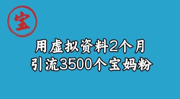 宝哥虚拟资料项目，2个月引流3500个宝妈粉-天韵资源网