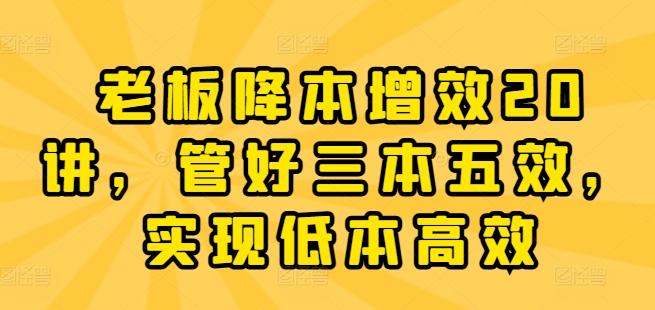 老板降本增效20讲，管好三本五效，实现低本高效-天韵资源网