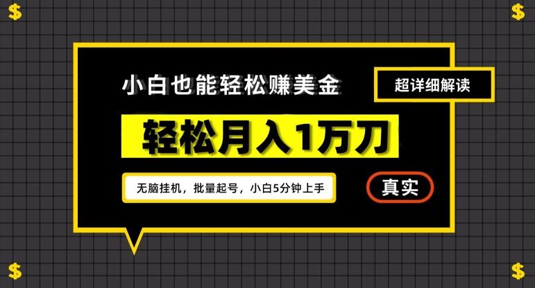 谷歌看广告撸美金2.0，无脑挂机，多号操作，月入1万刀【揭秘】-天韵资源网
