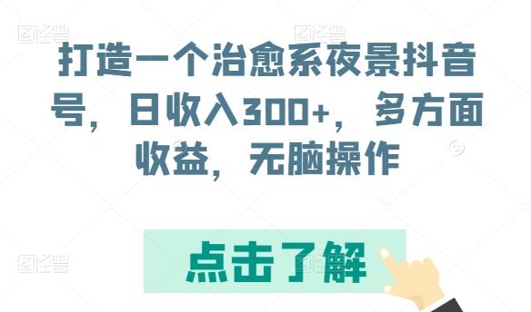 打造一个治愈系夜景抖音号，日收入300+，多方面收益，无脑操作【揭秘】-天韵资源网