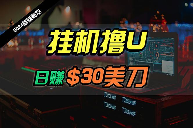 (10013期)日赚30美刀，2024最新海外挂机撸U内部项目，全程无人值守，可批量放大-天韵资源网