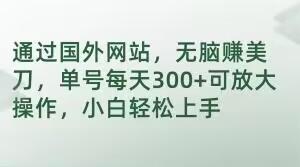 通过国外网站，无脑赚美刀，单号每天300+可放大操作，小白轻松上手【揭秘】-天韵资源网