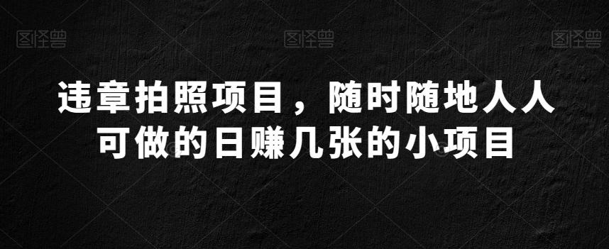 违章拍照项目，随时随地人人可做的日赚几张的小项目-天韵资源网