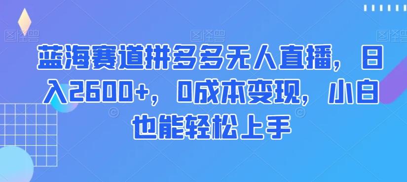 蓝海赛道拼多多无人直播，日入2600+，0成本变现，小白也能轻松上手【揭秘】-天韵资源网