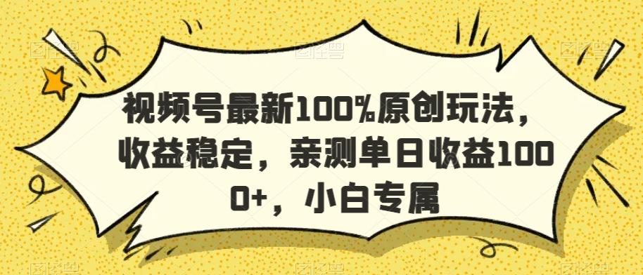 视频号最新100%原创玩法，收益稳定，亲测单日收益1000+，小白专属【揭秘】-天韵资源网
