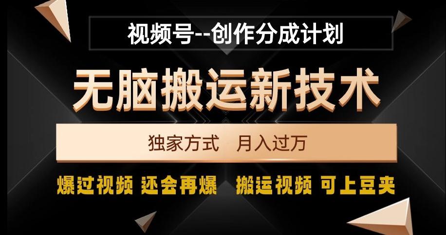 视频号无脑搬运新技术，破原创壕流量，独家方式，爆过视频，还会再爆【揭秘】-天韵资源网