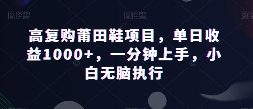 高复购莆田鞋项目，单日收益1000+，一分钟上手，小白无脑执行-天韵资源网